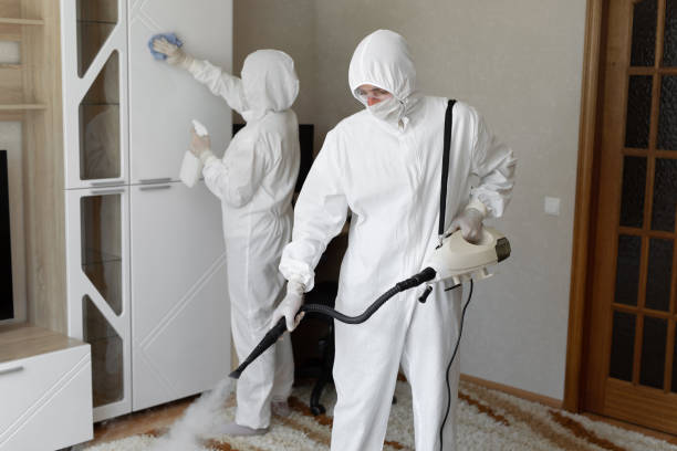 Trusted Sewage Cleanup service in Virginia, IL - Four Month Blood Cleanse